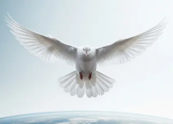 Meditating for Peace: A Spiritual Response to Troubled Times