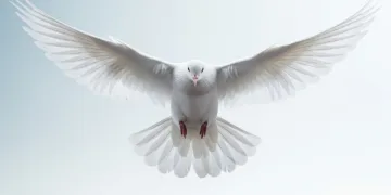 Meditating for Peace: A Spiritual Response to Troubled Times